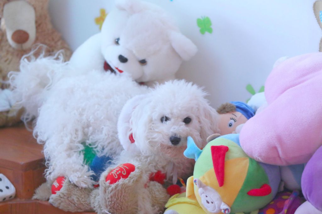 Onolulu de la Felhotte